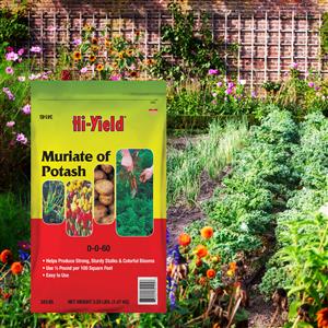 34145_Muriate of Potash 3.25 lb Bag Lifestyle Image